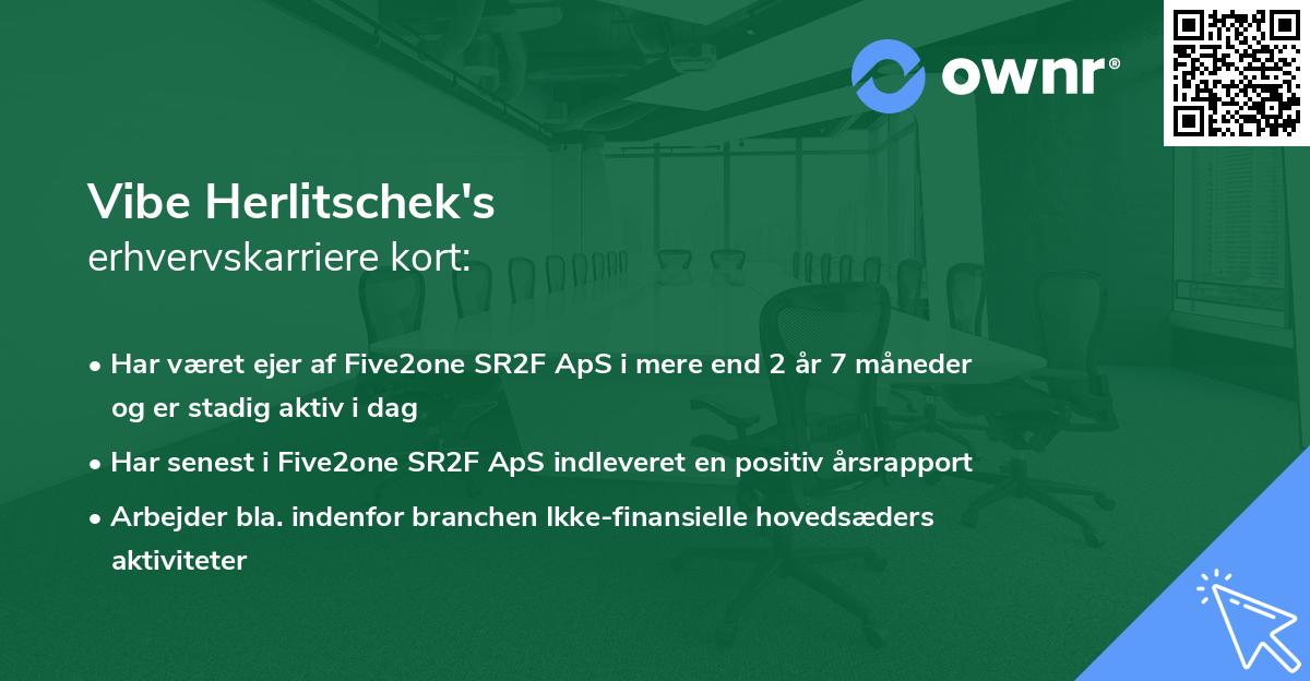 Vibe Herlitschek's erhvervskarriere kort
