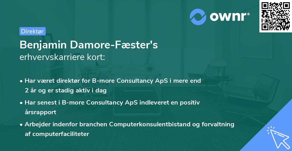 Benjamin Damore-Fæster's erhvervskarriere kort