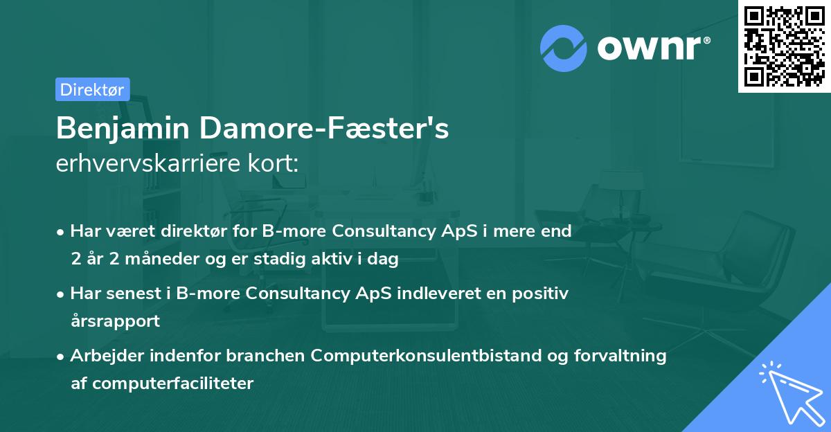 Benjamin Damore-Fæster's erhvervskarriere kort
