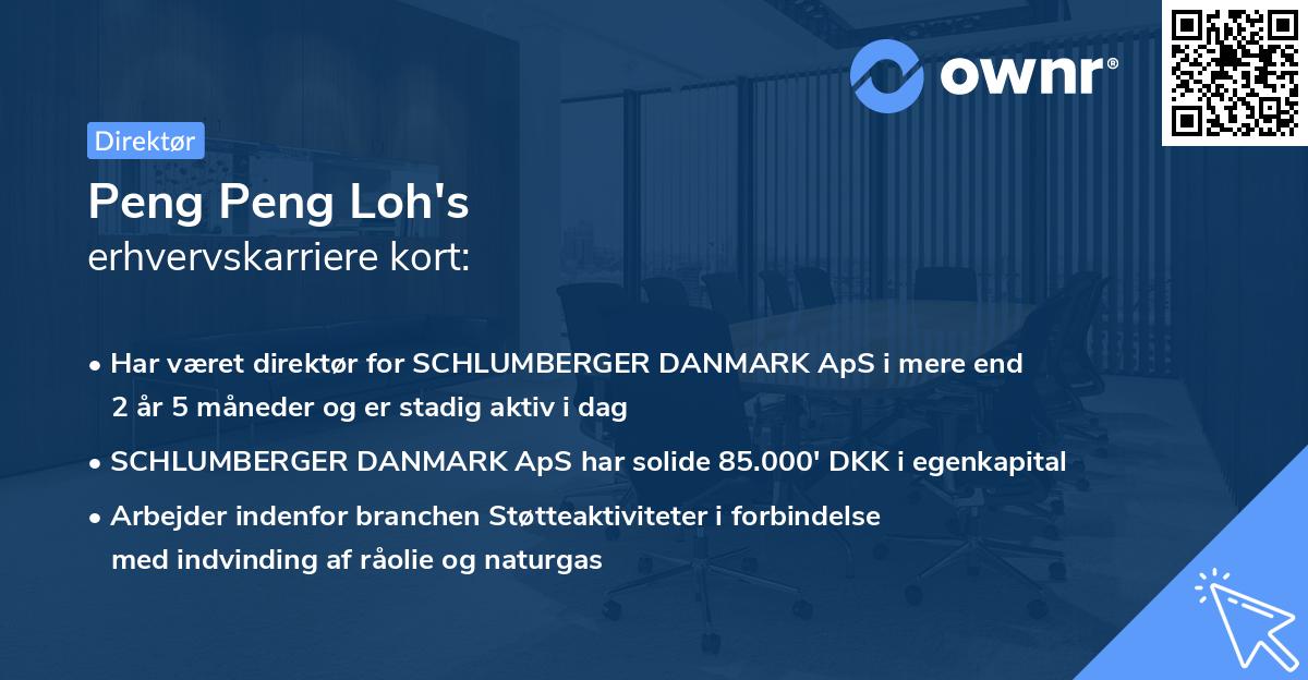 Peng Peng Loh's erhvervskarriere kort