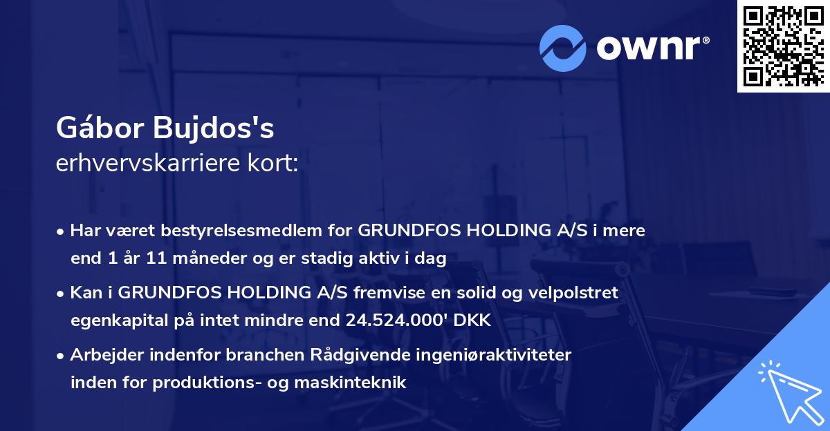 Gábor Bujdos's erhvervskarriere kort