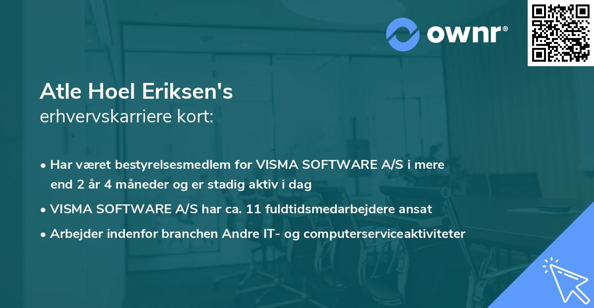 Atle Hoel Eriksen's erhvervskarriere kort