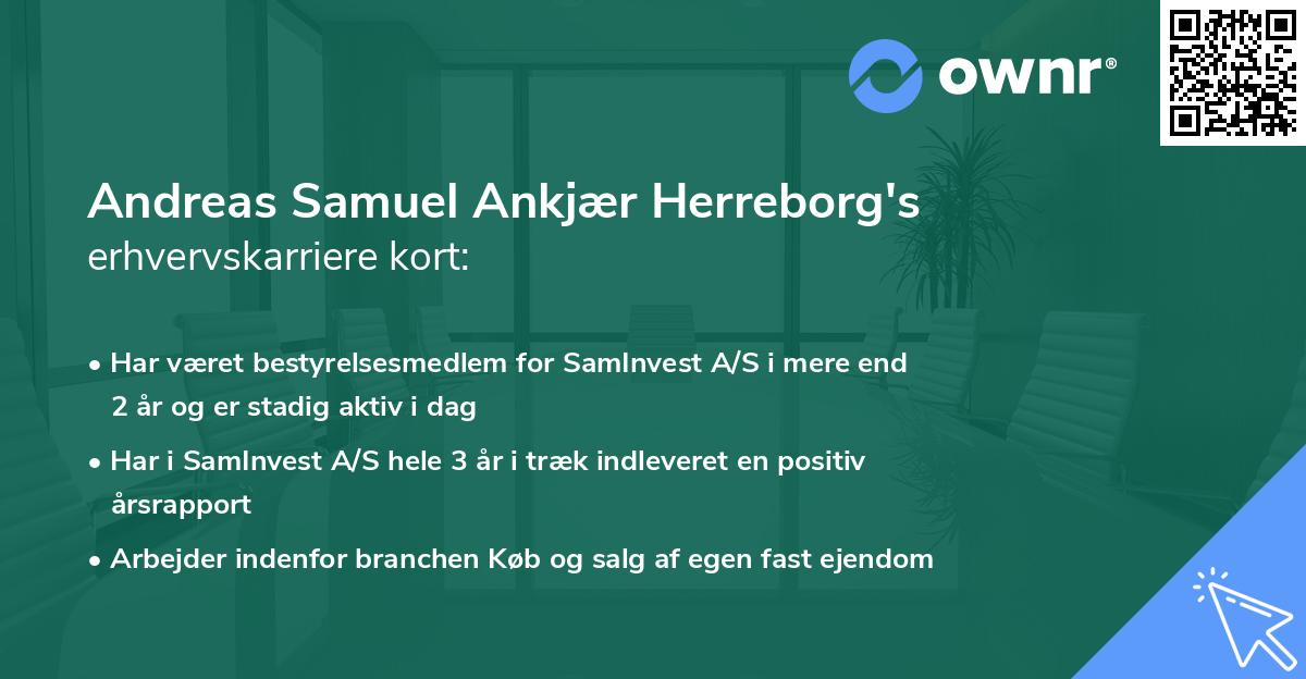 Andreas Samuel Ankjær Herreborg's erhvervskarriere kort
