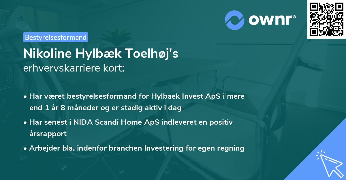 Nikoline Hylbæk Toelhøj's erhvervskarriere kort