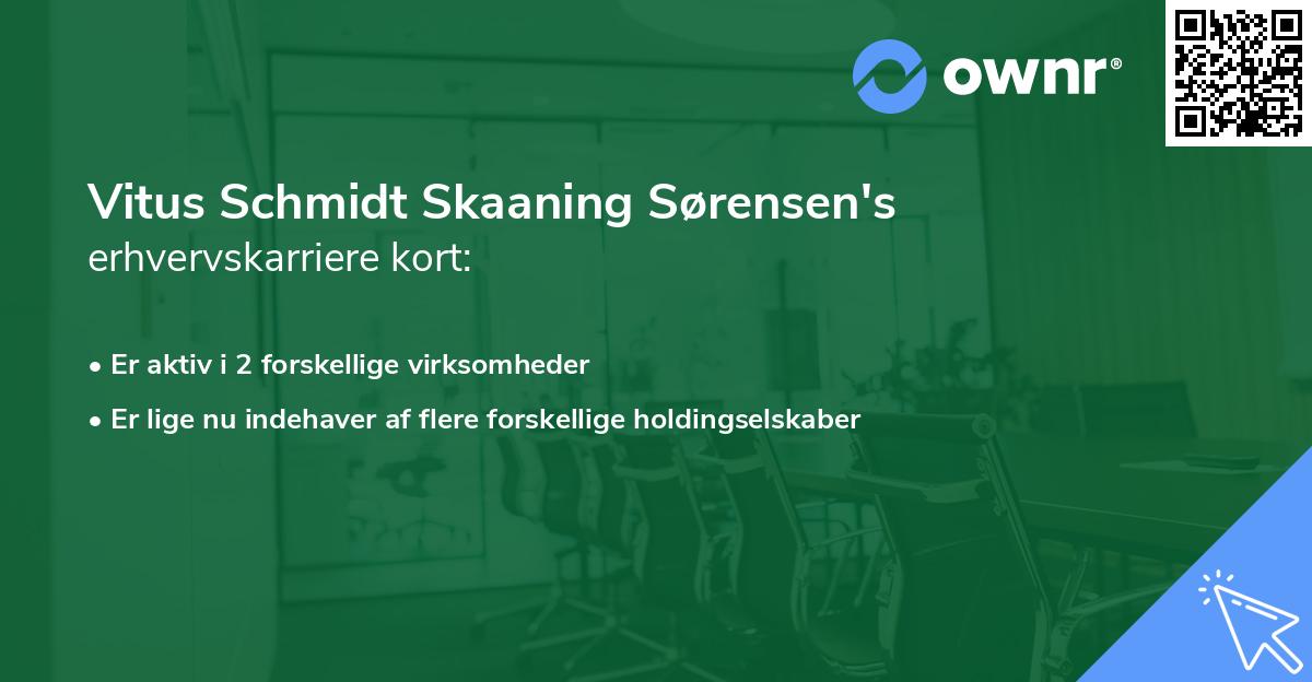 Vitus Schmidt Skaaning Sørensen's erhvervskarriere kort