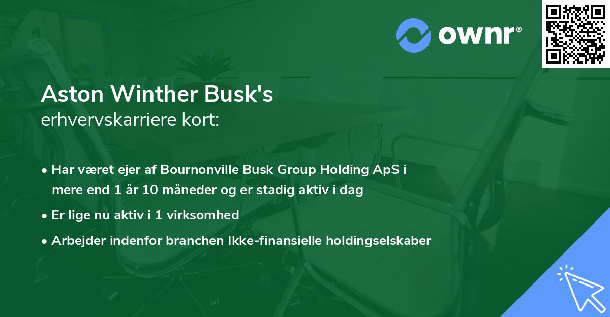 Aston Winther Busk's erhvervskarriere kort