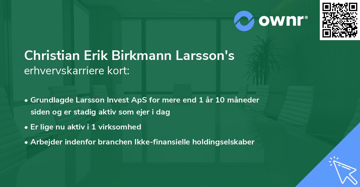Christian Erik Birkmann Larsson's erhvervskarriere kort
