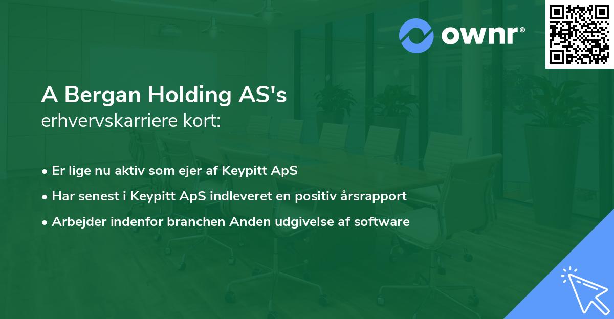 A Bergan Holding AS's erhvervskarriere kort