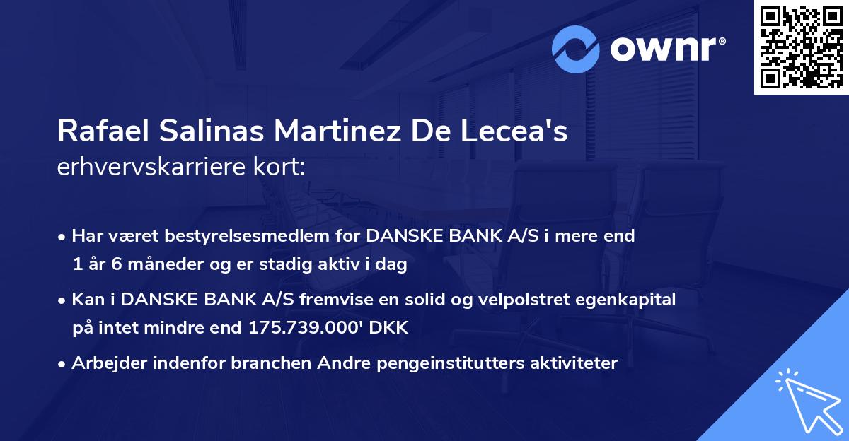Rafael Salinas Martinez De Lecea's erhvervskarriere kort