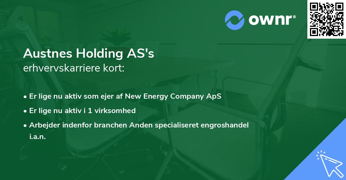 Austnes Holding AS's erhvervskarriere kort