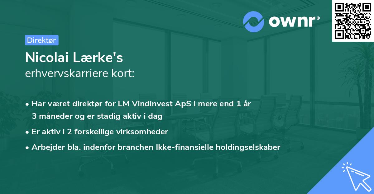 Nicolai Lærke's erhvervskarriere kort