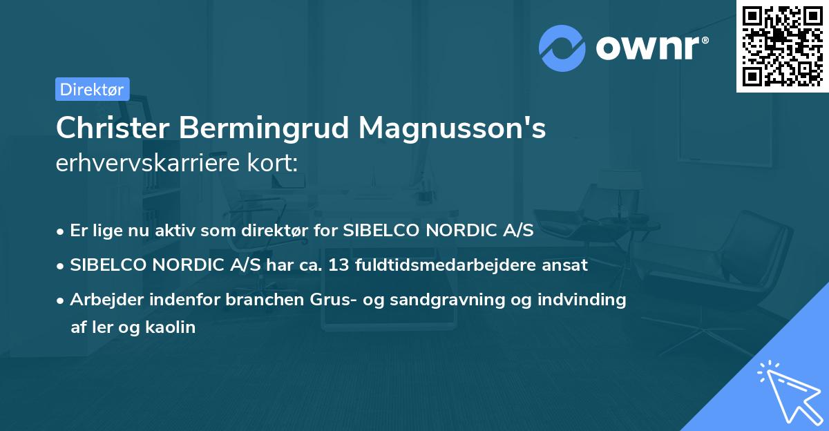 Christer Bermingrud Magnusson's erhvervskarriere kort