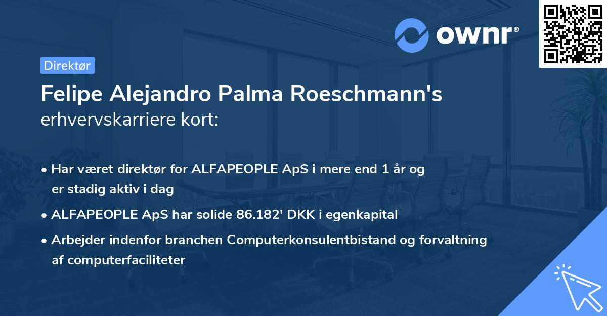 Felipe Alejandro Palma Roeschmann's erhvervskarriere kort
