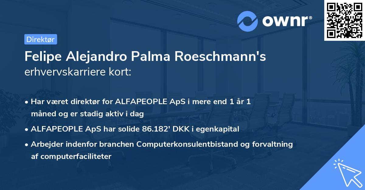 Felipe Alejandro Palma Roeschmann's erhvervskarriere kort