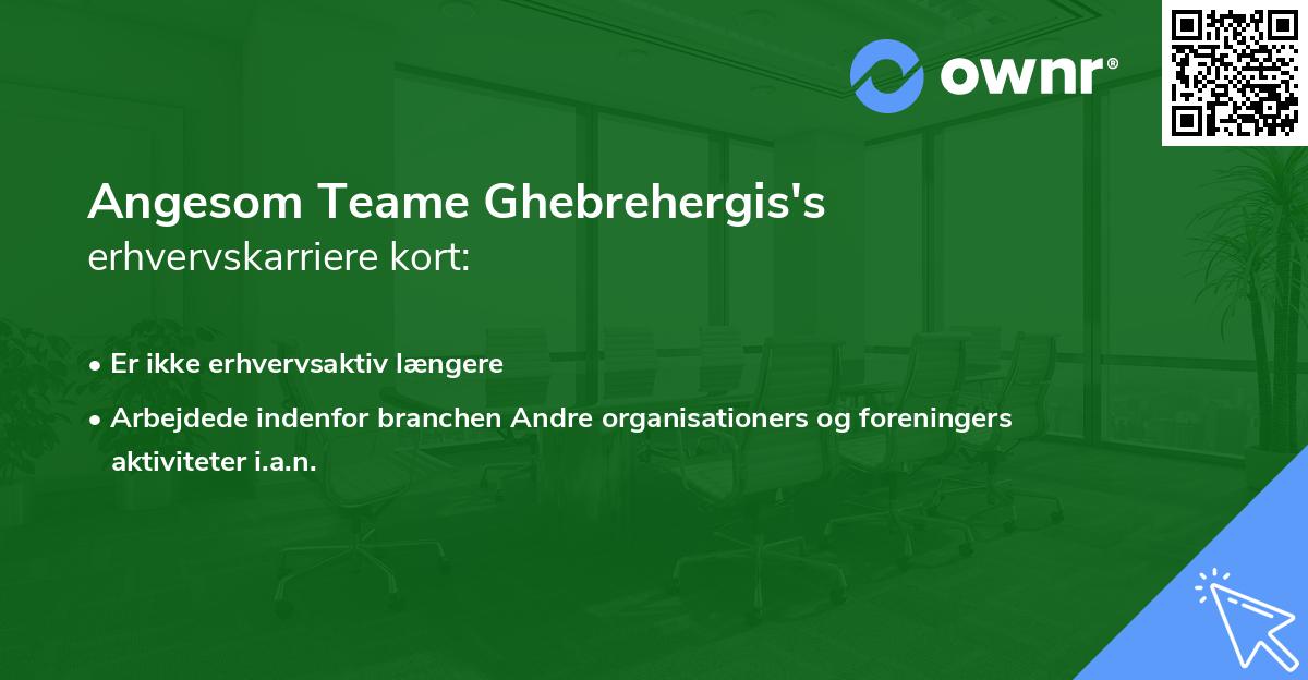 Angesom Teame Ghebrehergis's erhvervskarriere kort