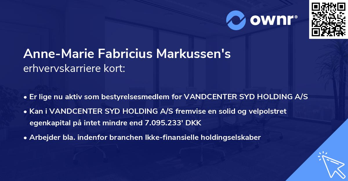 Anne-Marie Fabricius Markussen's erhvervskarriere kort