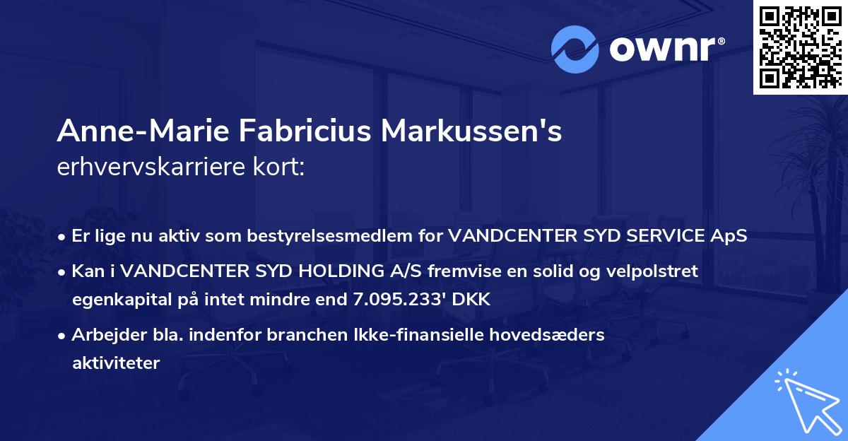 Anne-Marie Fabricius Markussen's erhvervskarriere kort