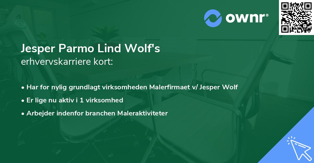Jesper Parmo Lind Wolf's erhvervskarriere kort