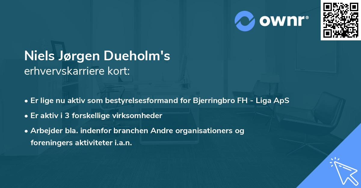 Niels Jørgen Dueholm's erhvervskarriere kort