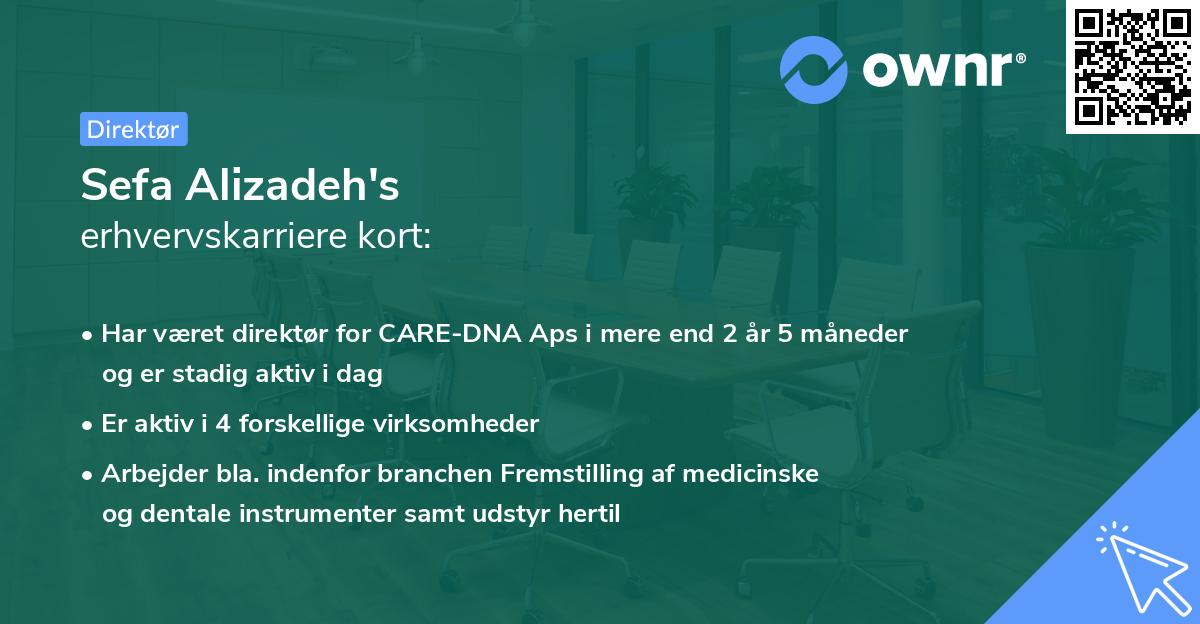 Sefa Alizadeh's erhvervskarriere kort