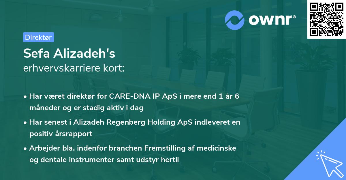 Sefa Alizadeh's erhvervskarriere kort