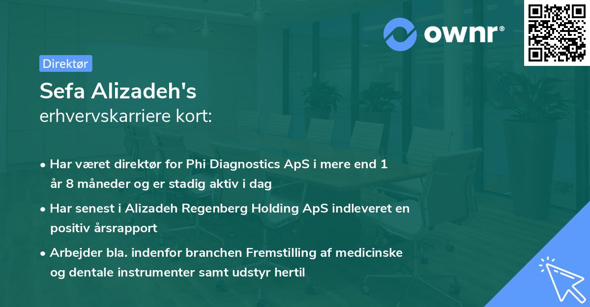 Sefa Alizadeh's erhvervskarriere kort