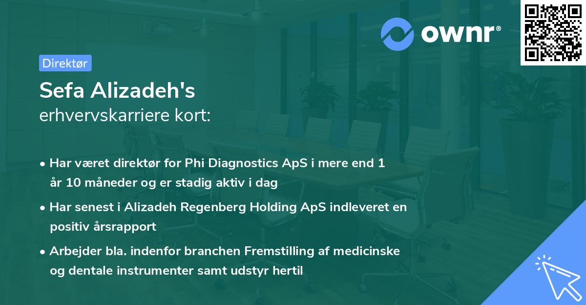 Sefa Alizadeh's erhvervskarriere kort