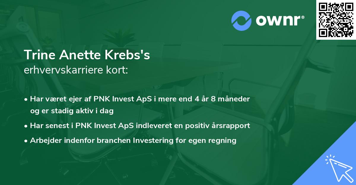 Trine Anette Krebs's erhvervskarriere kort