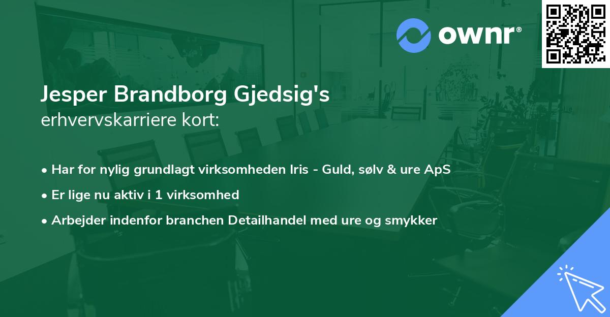Jesper Brandborg Gjedsig's erhvervskarriere kort