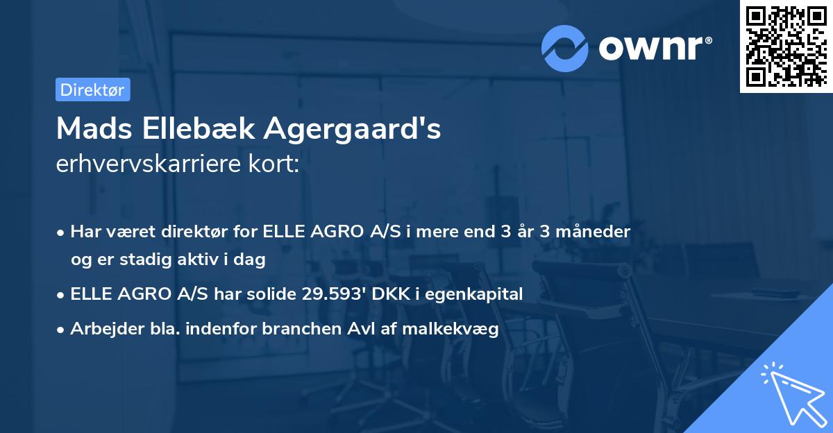 Mads Ellebæk Agergaard's erhvervskarriere kort