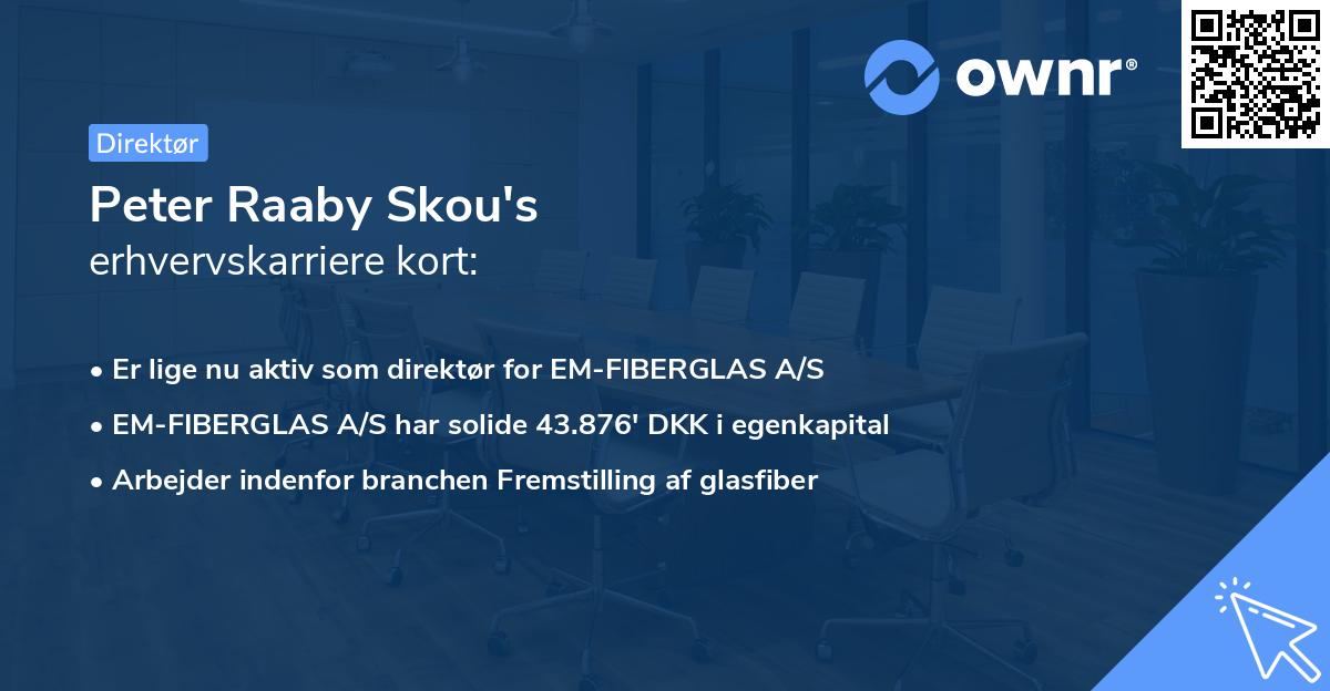 Peter Raaby Skou's erhvervskarriere kort