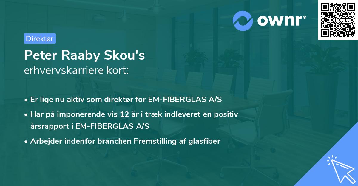 Peter Raaby Skou's erhvervskarriere kort