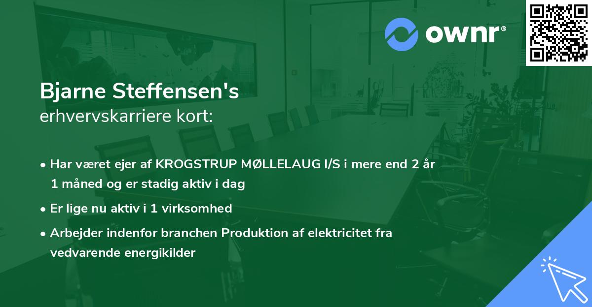 Bjarne Steffensen's erhvervskarriere kort