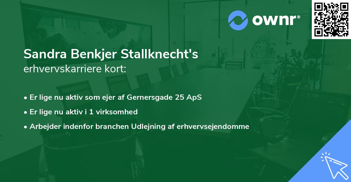 Sandra Benkjer Stallknecht's erhvervskarriere kort