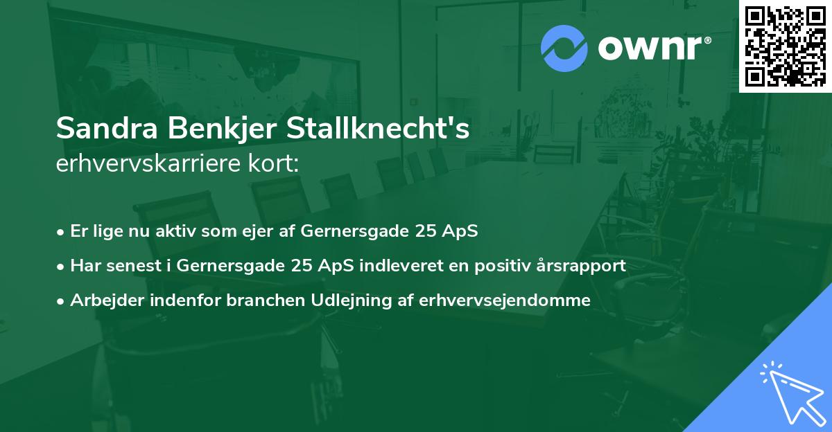 Sandra Benkjer Stallknecht's erhvervskarriere kort
