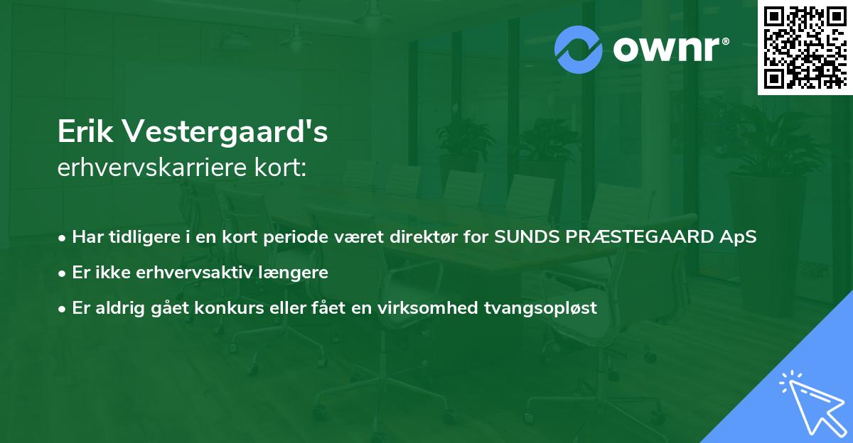 Erik Vestergaard's erhvervskarriere kort