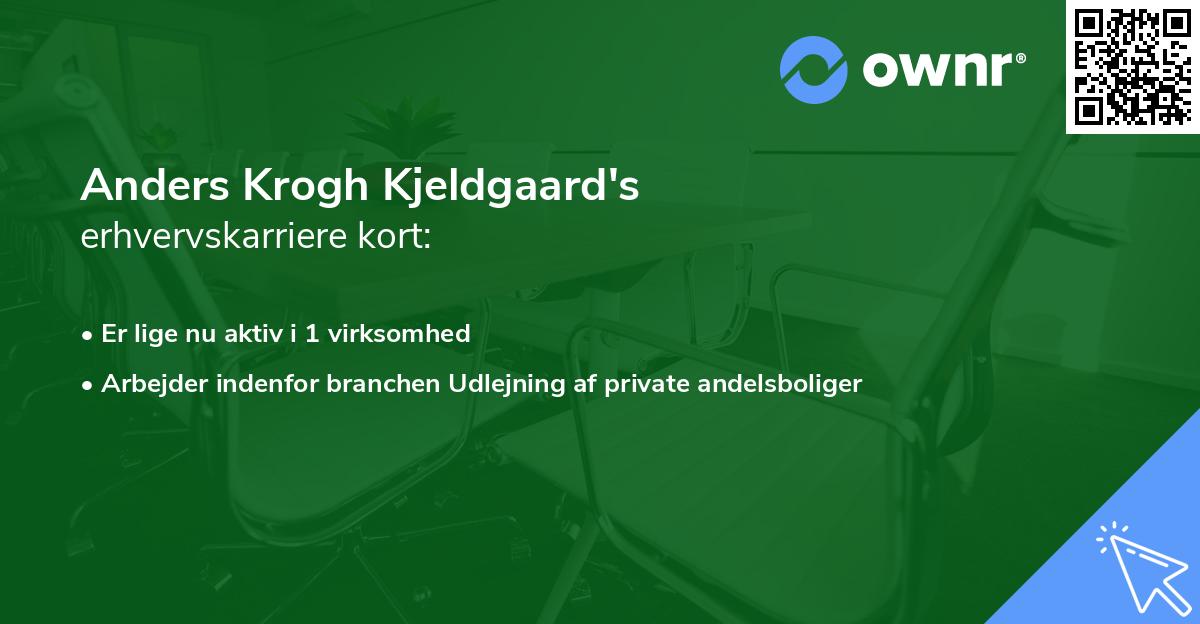 Anders Krogh Kjeldgaard's erhvervskarriere kort