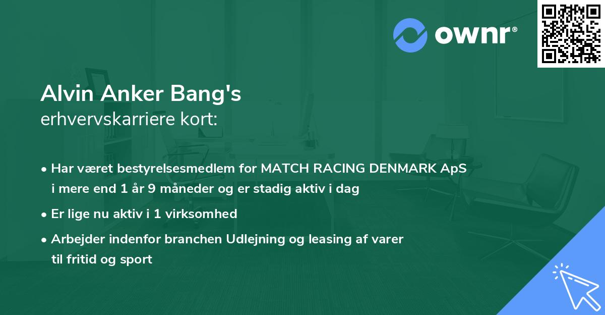 Alvin Anker Bang's erhvervskarriere kort