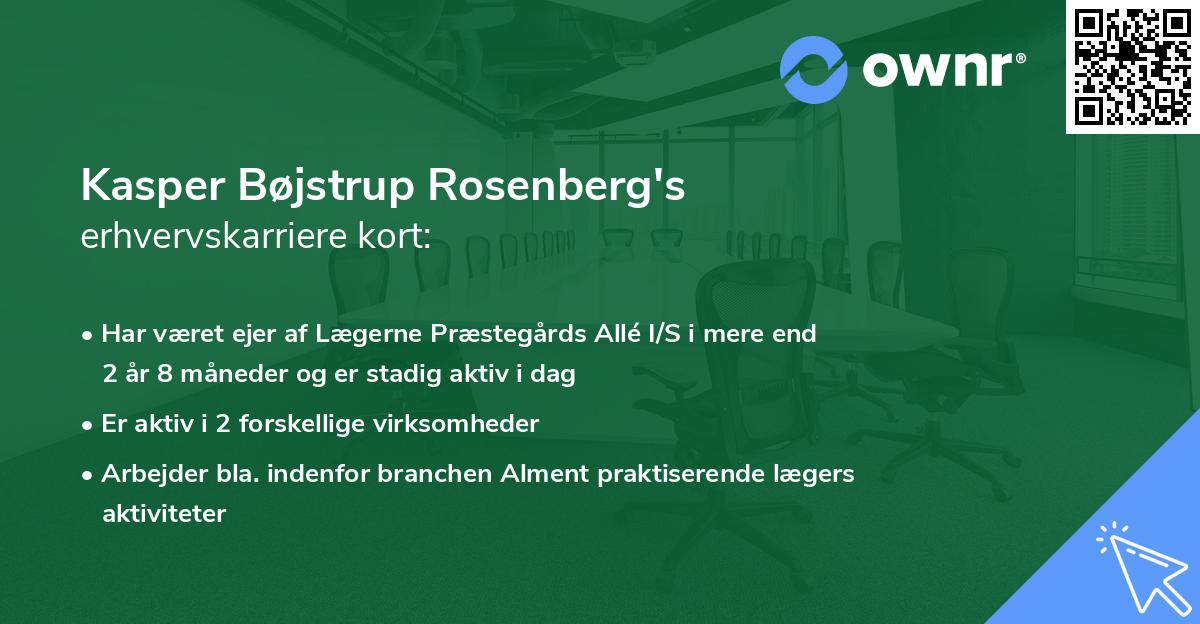 Kasper Bøjstrup Rosenberg's erhvervskarriere kort