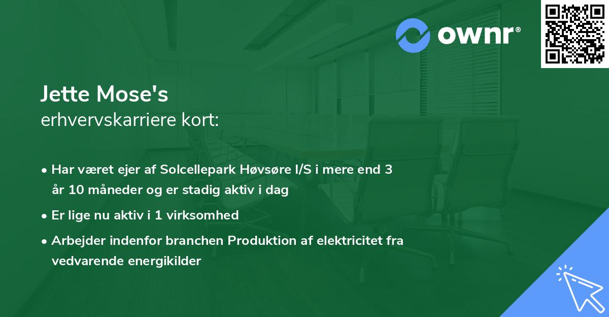 Jette Mose's erhvervskarriere kort