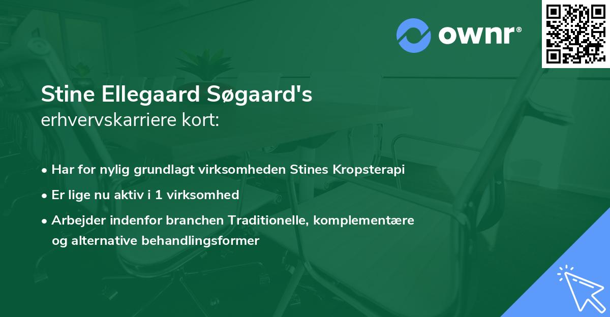 Stine Ellegaard Søgaard's erhvervskarriere kort