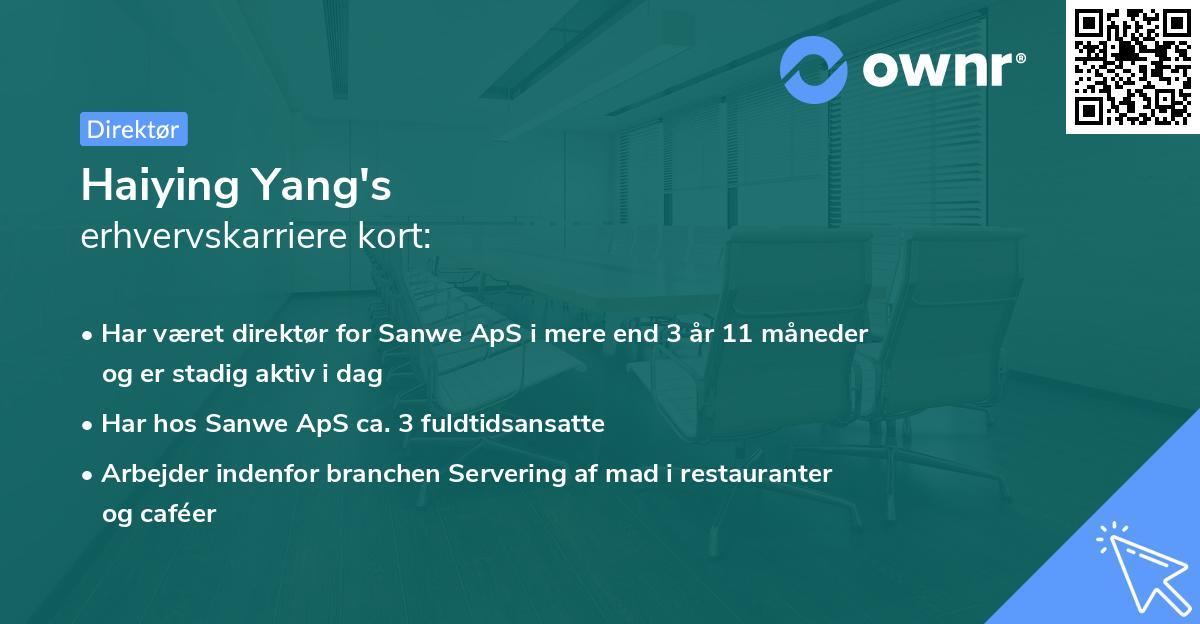 Haiying Yang's erhvervskarriere kort