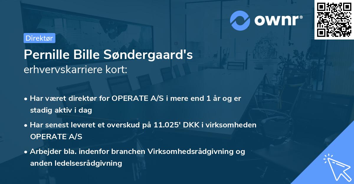 Pernille Bille Søndergaard's erhvervskarriere kort