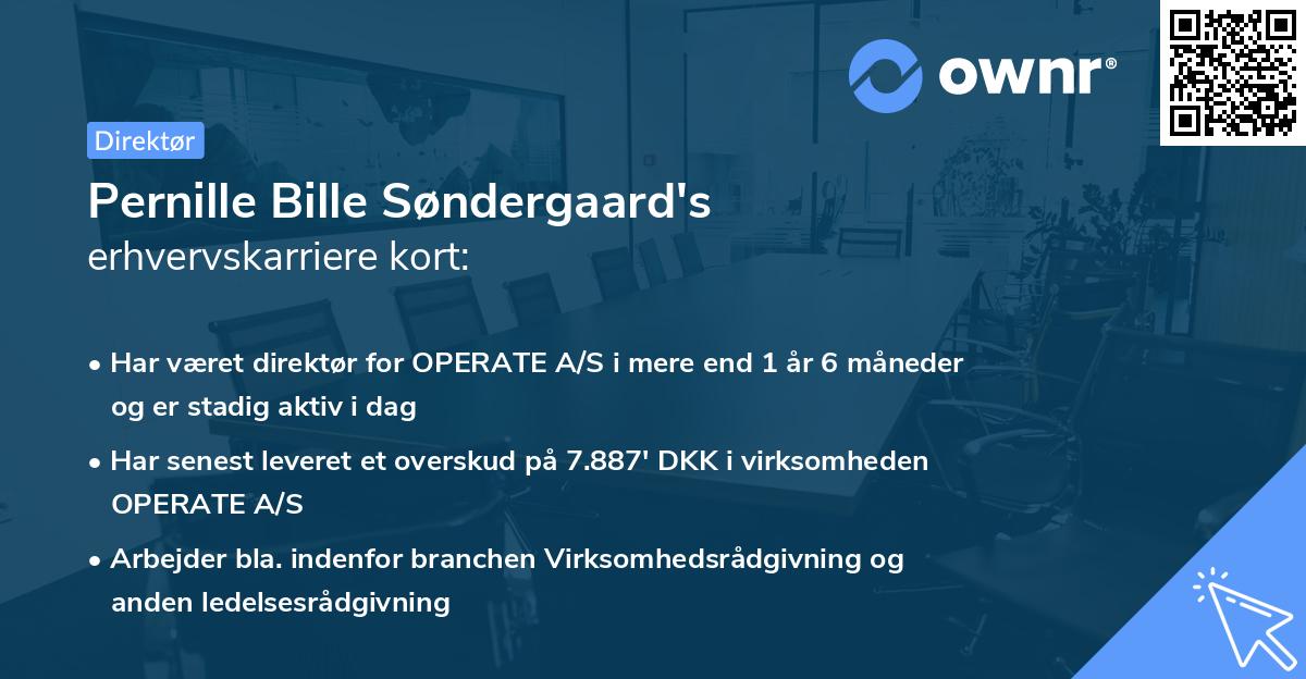 Pernille Bille Søndergaard's erhvervskarriere kort