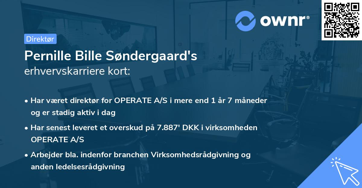 Pernille Bille Søndergaard's erhvervskarriere kort
