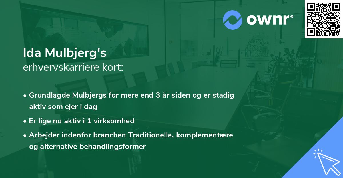 Ida Mulbjerg's erhvervskarriere kort