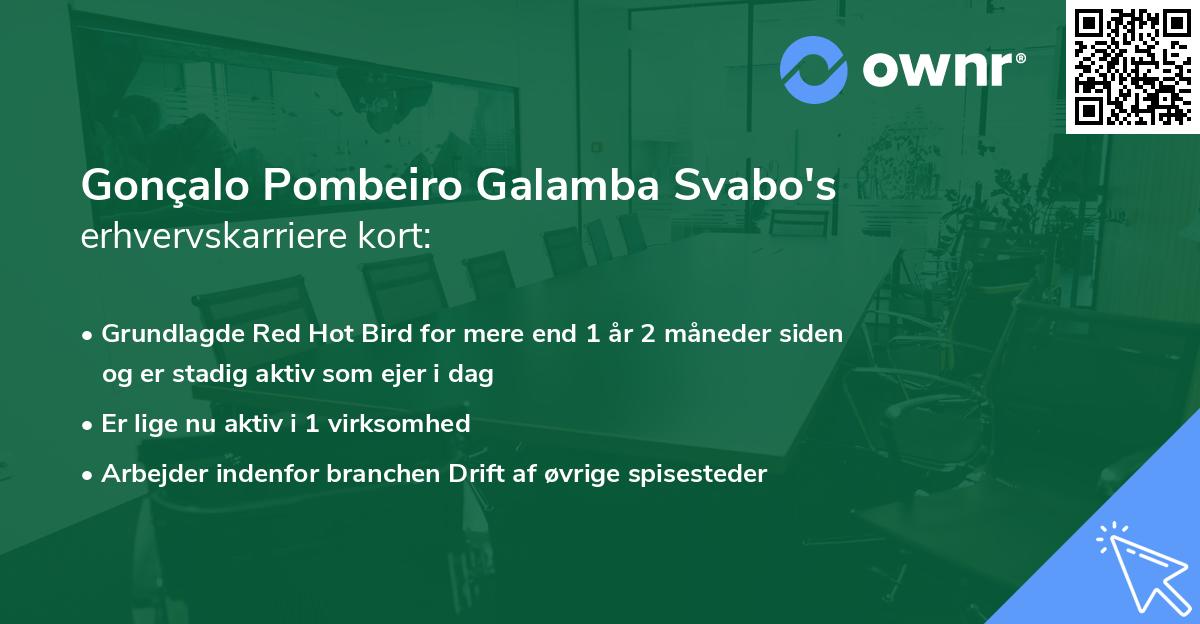 Gonçalo Pombeiro Galamba Svabo's erhvervskarriere kort
