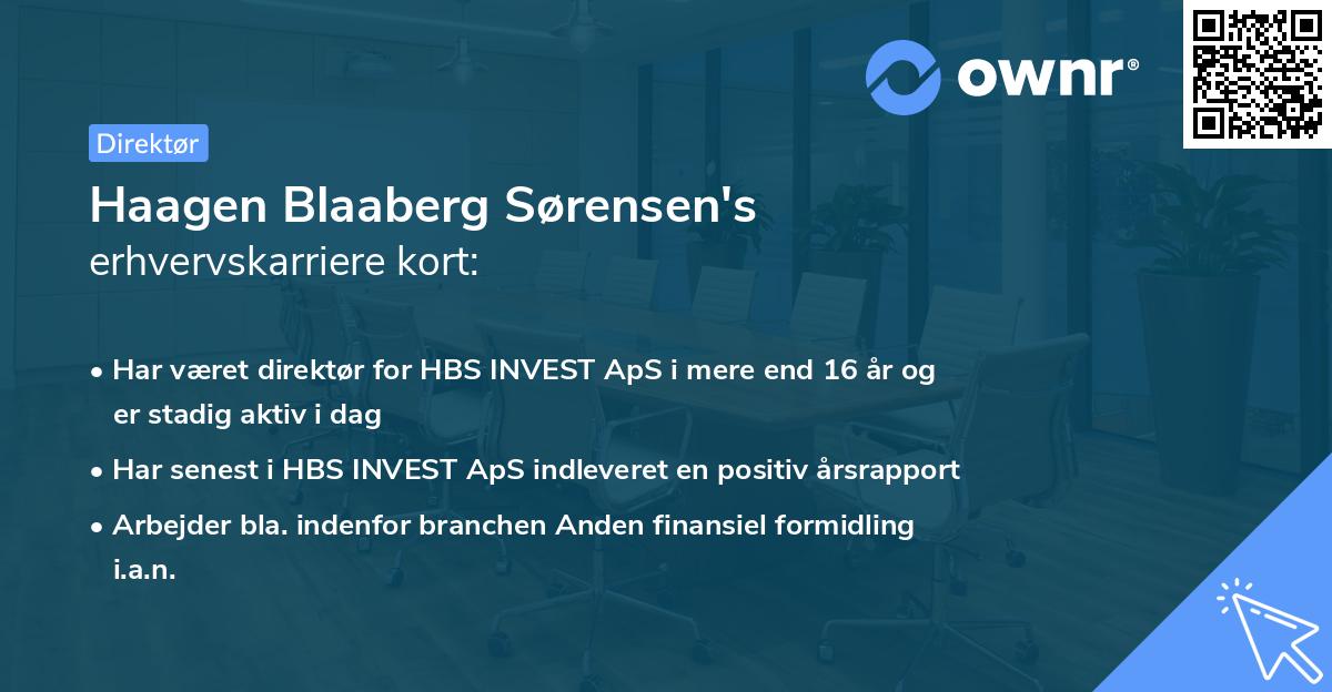 Haagen Blaaberg Sørensen's erhvervskarriere kort