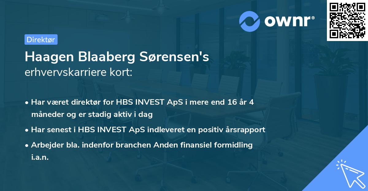 Haagen Blaaberg Sørensen's erhvervskarriere kort