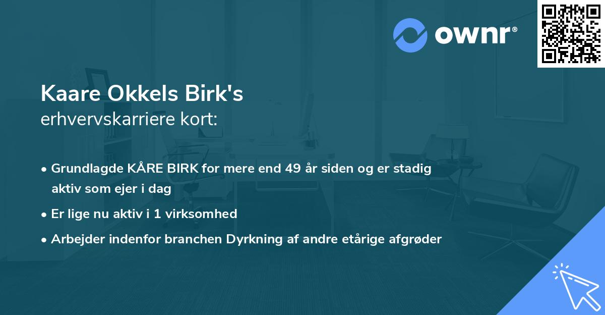 Kaare Okkels Birk's erhvervskarriere kort